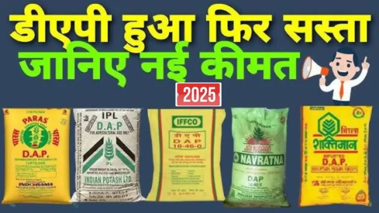 DAP-urea-rate-2025