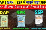 DAP vs NPK vs SSP Fertilizer