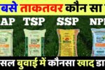 Difference-Between-DAP-TSP-SSP-NPK-Fertilizer