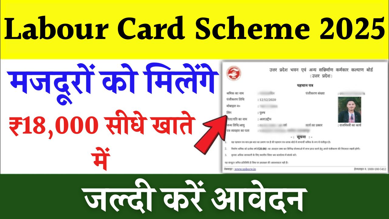 Labour Card Scheme