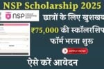 NSP Scholarship 2025