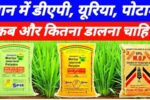 Urea DAP Potash Quantity For Dhan